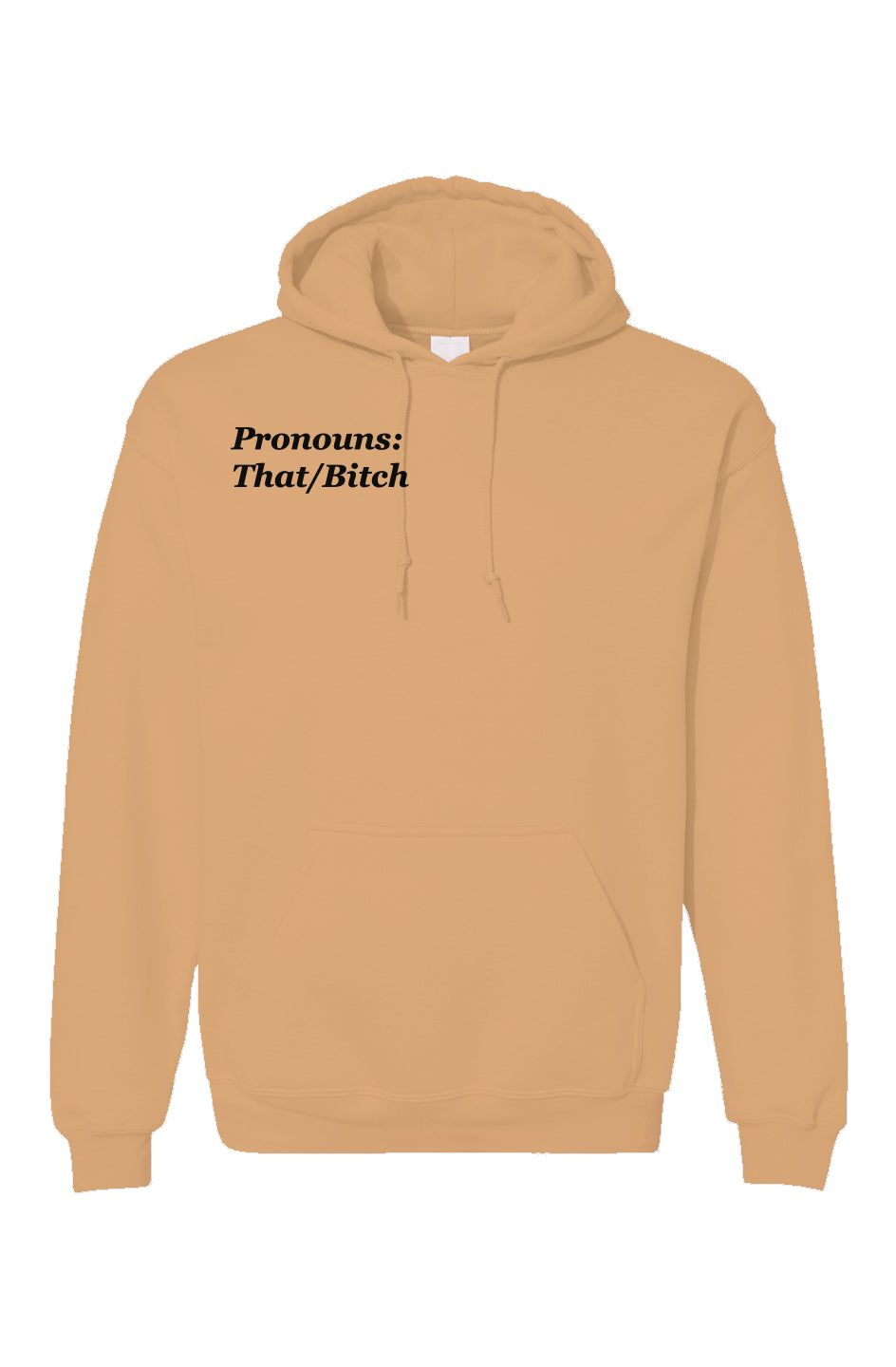 Pronouns V2 Pullover